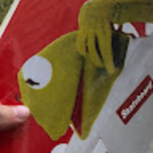 Meet your Posher, Hayden